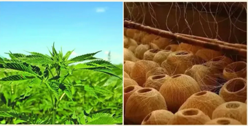 Hemp in History and Civilization: The Ancient High-Tech Fabric of Nature!