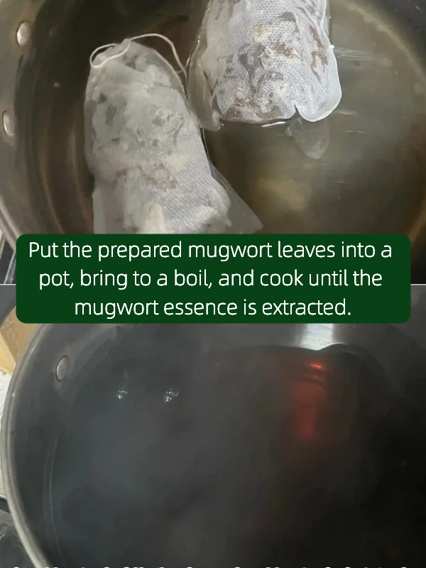 Mugwort pure dried mugwort leaves for boiling and bathing Natural, warm healing aroma Herbs 8-10 baths amount Artemisia Herb Loose Leaves