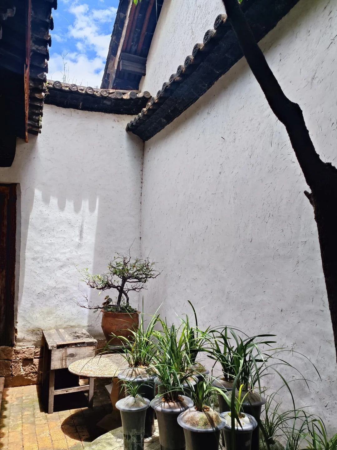 How to Identify Industrial Shampoos on the Market