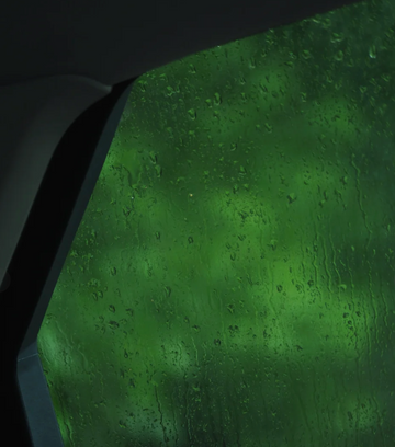 10 Hidden Signs of "Cold" & "Dampness": A Quick TCM Self-Check Guide