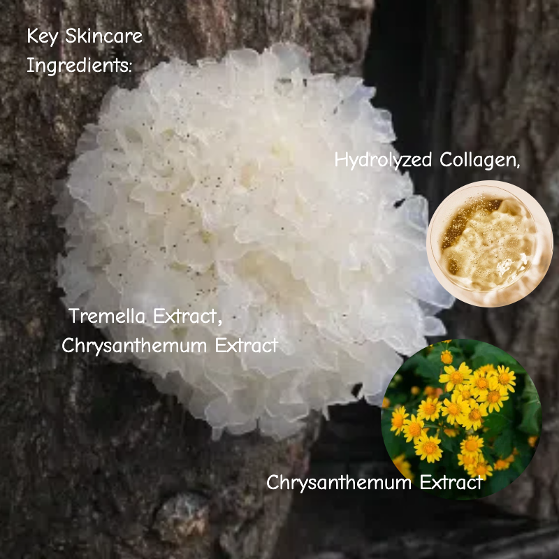 Tremella (Snow Fungus): Nature’s Plant-Based Hyaluronic Acid for Health and Skincare