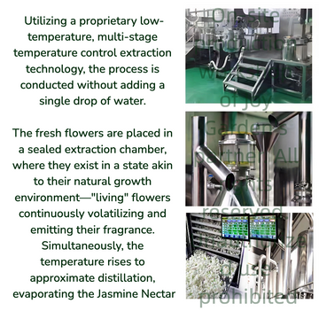 The Future of Glow: Why We Use Supercritical Cryo-Extraction for Our Jasmine Water