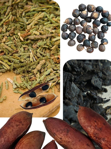 Four traditional Chinese herbal plants used in the Joy Garden shampoo formula: He Shou Wu, Oriental Arborvitae Leaf, Soapberry, and Gleditsia