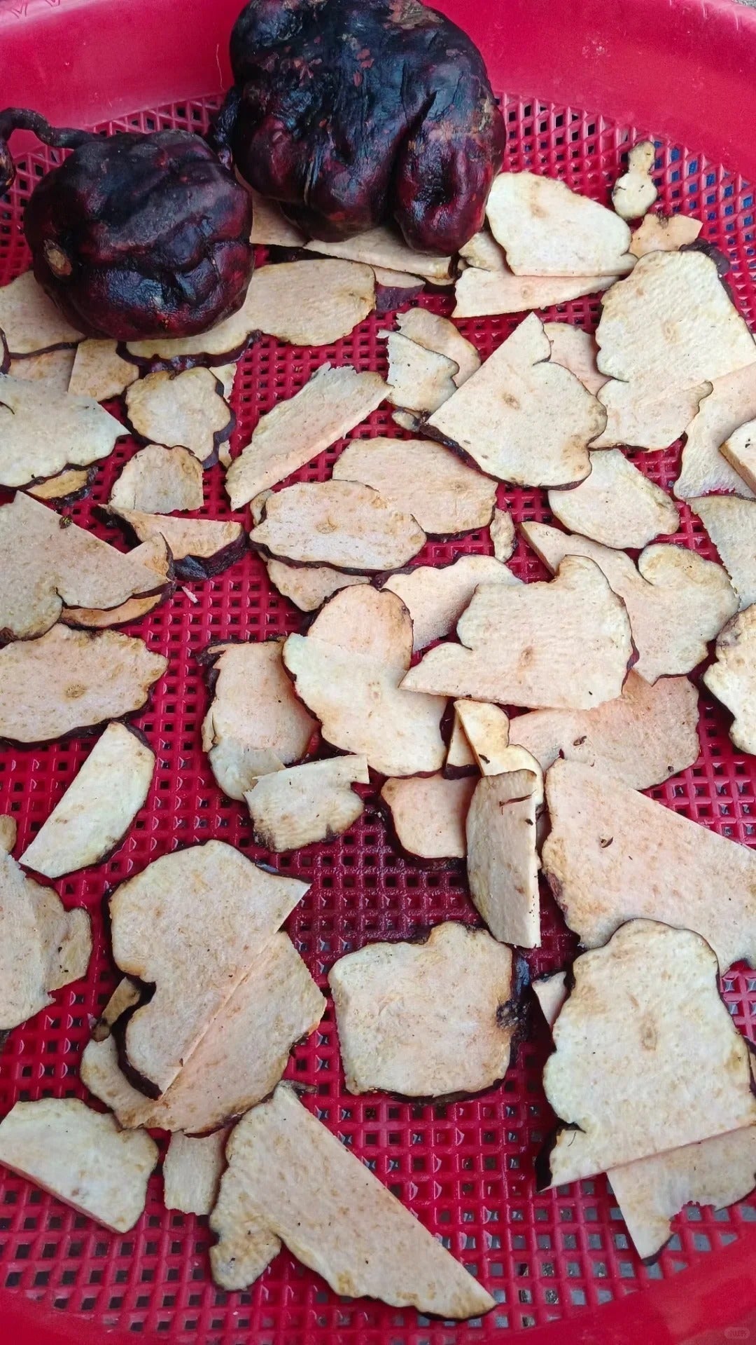 Detaild look of He Shou Wu (Polygonum multiflorum)? (FO-TI）