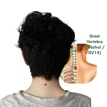 The Great Vertebra (GV14/Dazhui) Acupoint Guide: Natural Relief for Neck Stiffness, Colds &Immunity