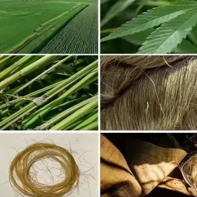 Hemp Intimates