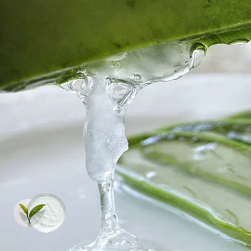 Botanical Skincare