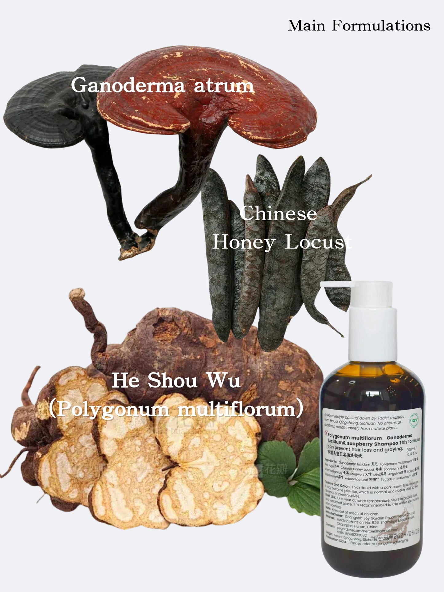 He Shou Wu (FO-TI) Polygonum multiflorum Ganoderma lucidum shampoo Chinese honey locust  Soap Pod 100% natural ingredients Anti-hair loss TCM shampoo 325ml