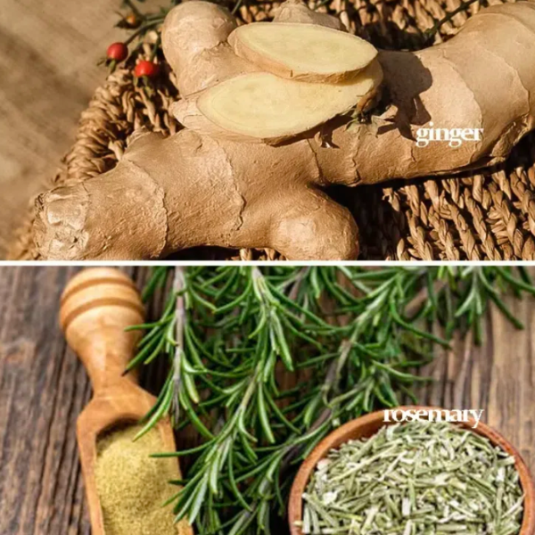 He Shou Wu Shampoo Bar for Buzz Cuts & Thinning Hair - Not for Oily Scalp (Lower Potency than Liquid Version)