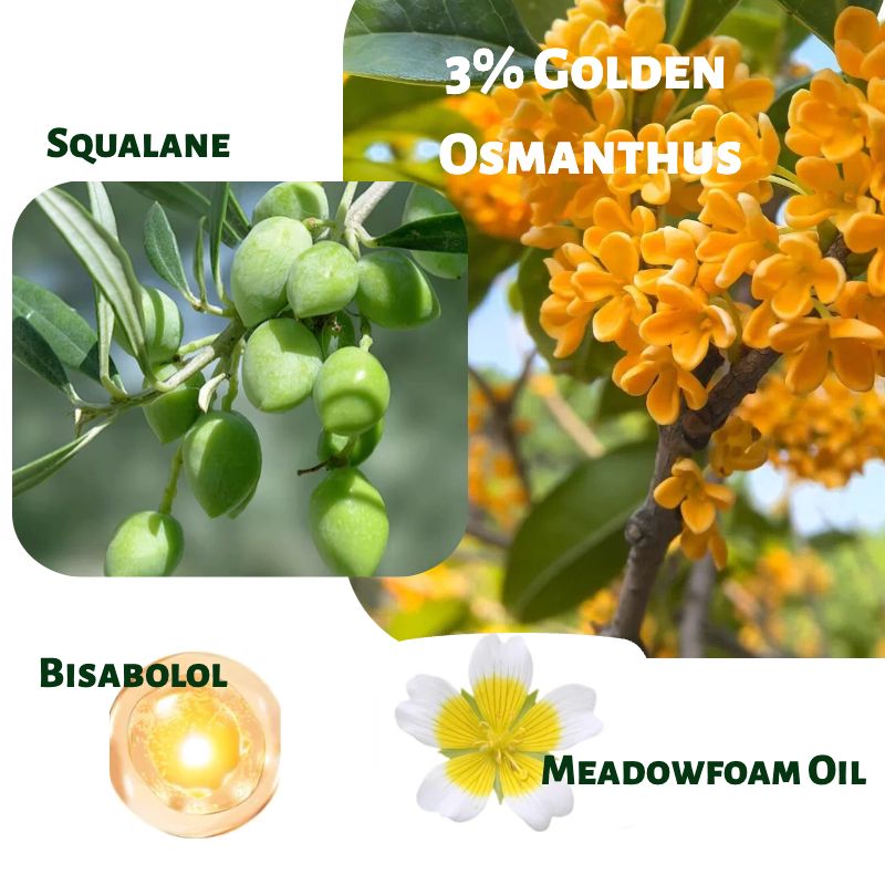 Golden Osmanthus Essential Oil Series 100% Pure Essence and 3% Ready-to-Use Botanical Blend