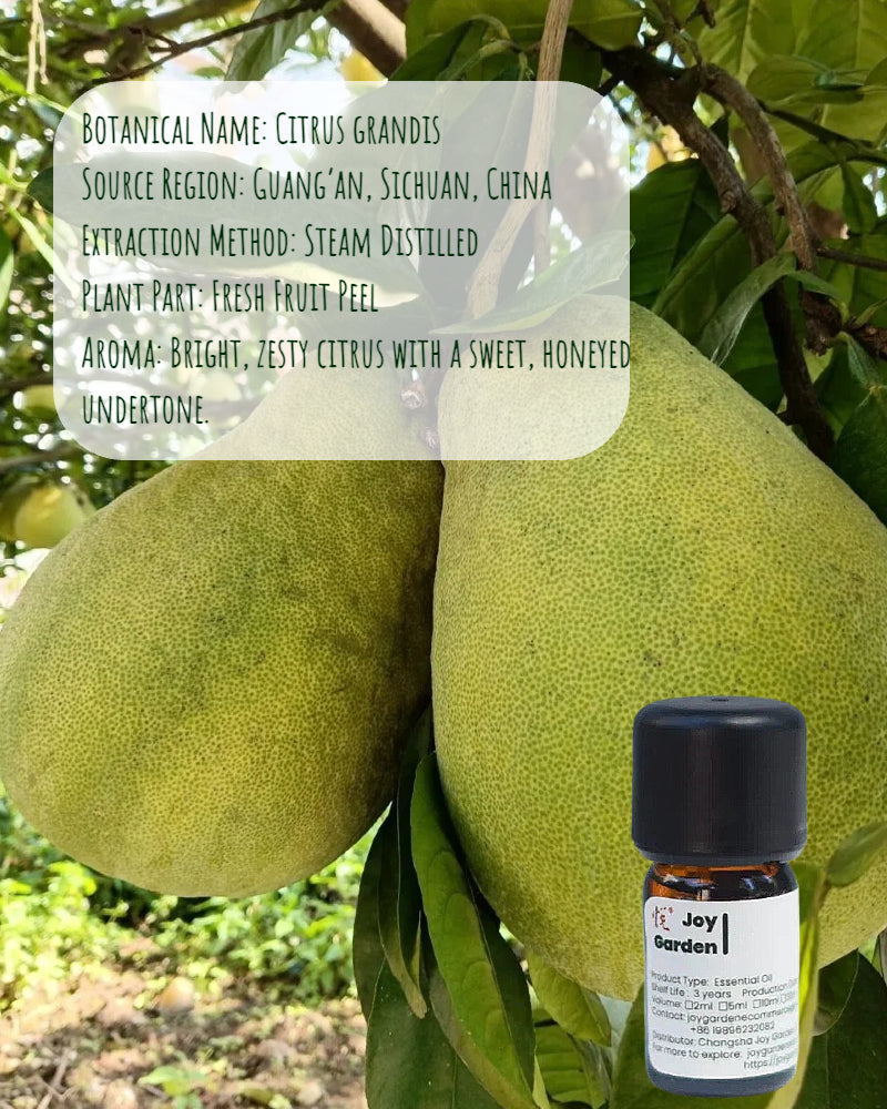 Joy Garden | 100% Pure Pomelo Essential Oil (Citrus Grandis) – Professional Grade, Steam Distilled, Sourced from Guang’an, Sichuan