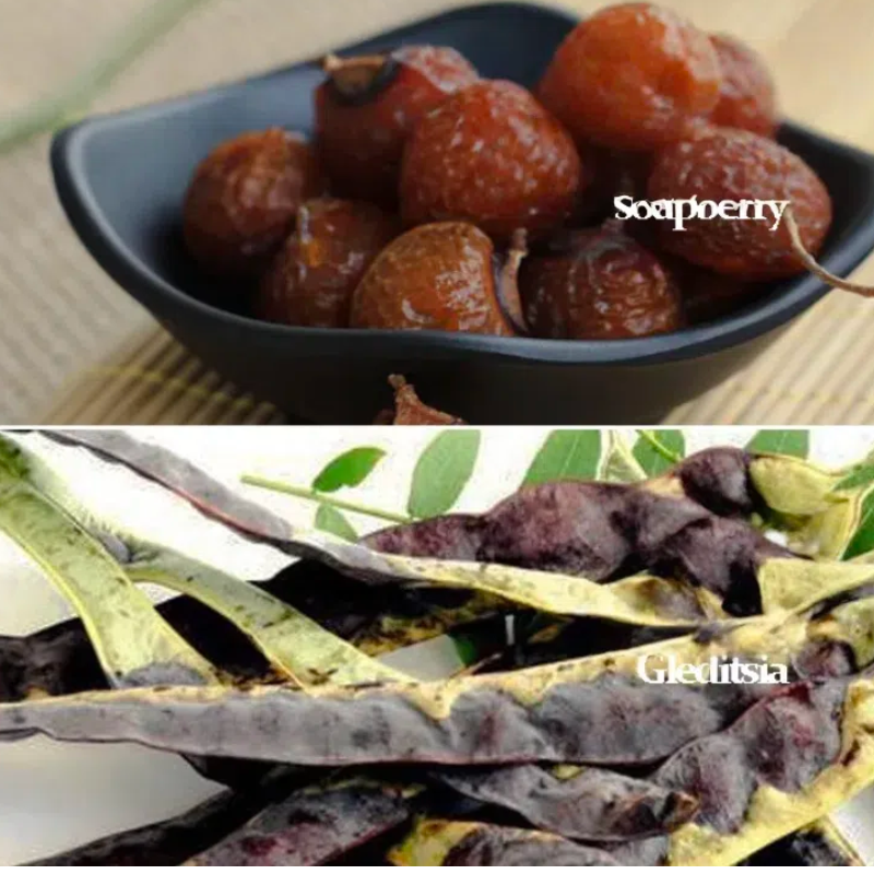 He Shou Wu Shampoo Bar for Buzz Cuts & Thinning Hair - Not for Oily Scalp (Lower Potency than Liquid Version)