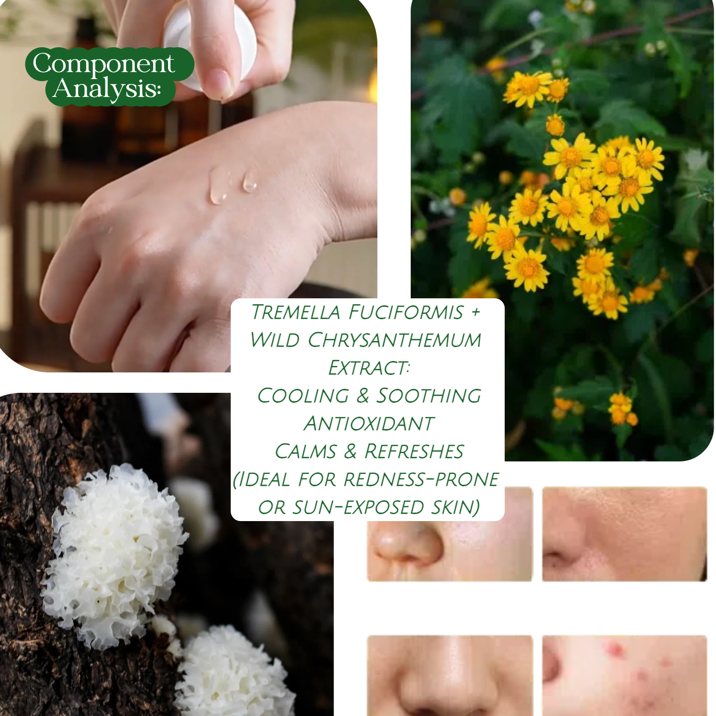 Joy Garden Tremella（snow mushroom) & Wild Chrysanthemum Hydrating Essence Soothing · Anti-inflammatory · Hydrating · Refreshing For sensitive skin, acne-prone skin, and oily skin  Tremella  Plant-Based Hyaluronic Acid