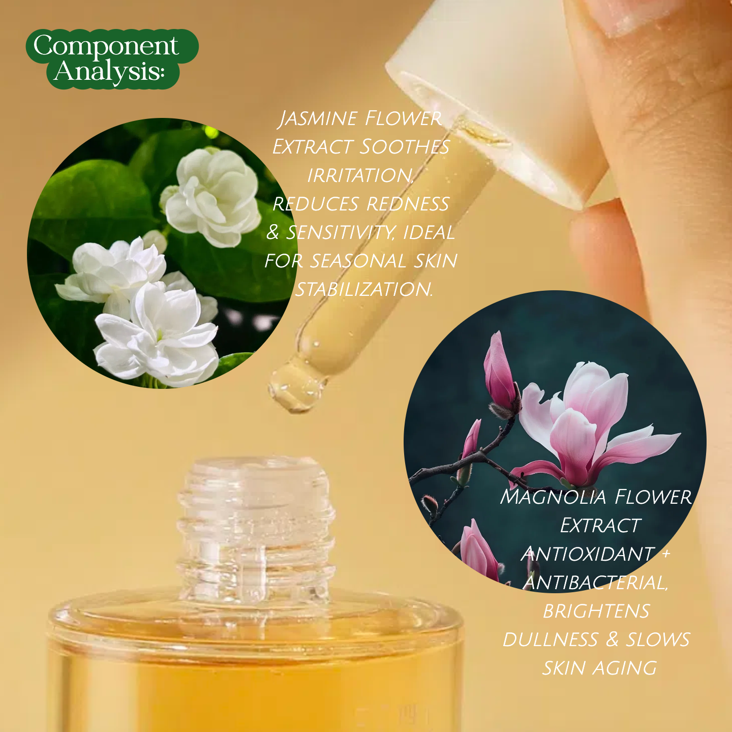 Natural jasmine and magnolia flower extracts – key ingredients in Joy Garden Essence Toner, soothing and revitalizing botanical formula
