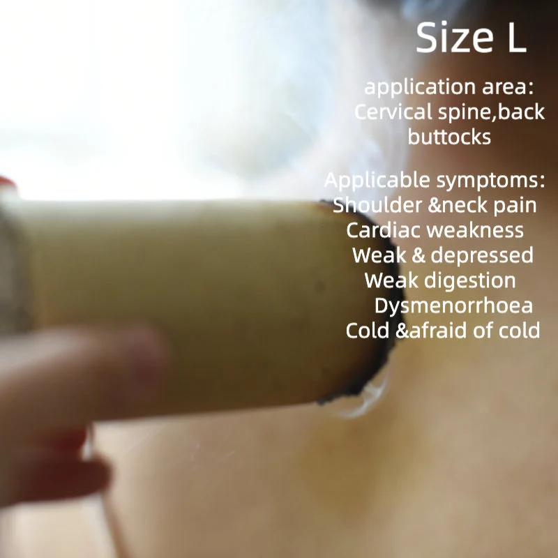 Acupoint chart showing suitable points for large Joy Garden Moxa Sticks – deep, stable warming for full-body use