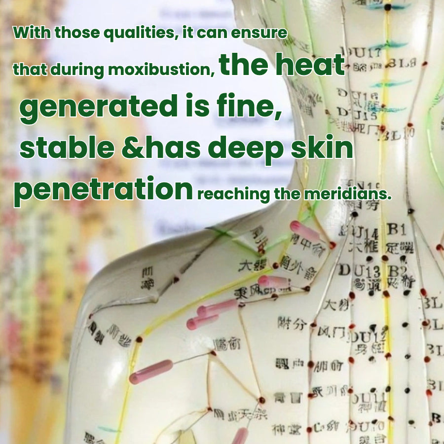 Illustration showing gentle heat from Joy Garden Moxa penetrating deeply into body meridians