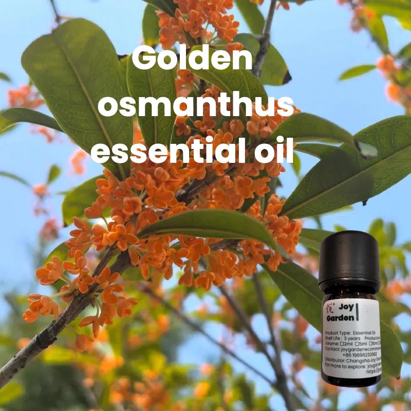 Joy Garden Osmanthus Essential Oil 