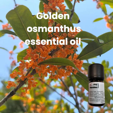 Joy Garden Osmanthus Essential Oil 
