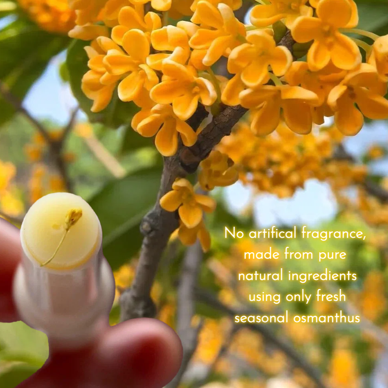 Osmanthus flower close-up – natural key ingredient in Joy Garden Osmanthus & Honey Lip Balm for nourishment and hydration