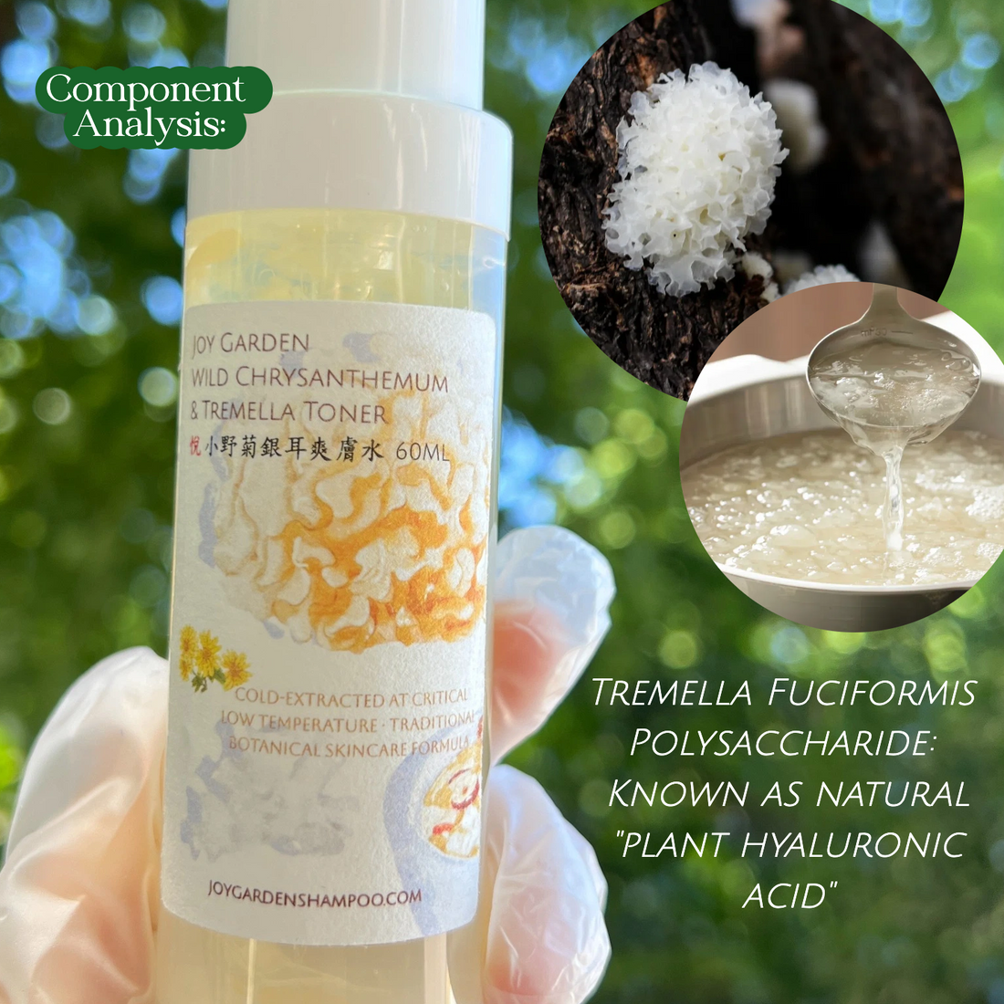 Joy Garden Tremella（snow mushroom) & Wild Chrysanthemum Hydrating Essence Soothing · Anti-inflammatory · Hydrating · Refreshing For sensitive skin, acne-prone skin, and oily skin  Tremella  Plant-Based Hyaluronic Acid