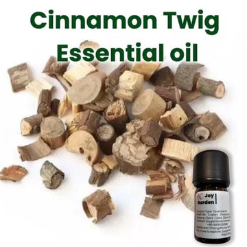 Cinnamon Branch Essential Oil: Supercritical CO2, TCM - 5ml