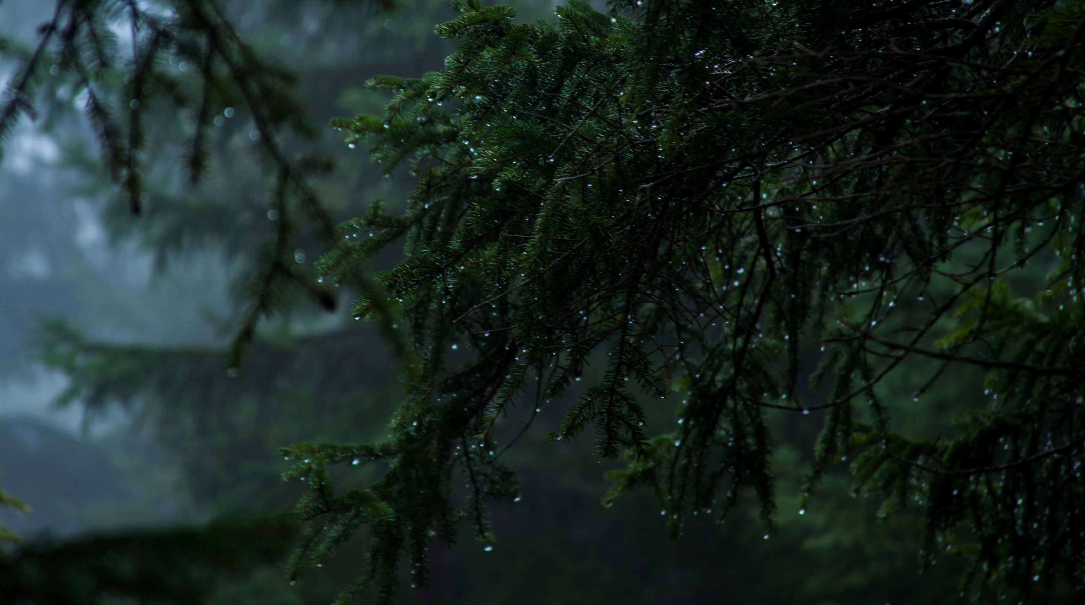 slider image 1621243260e1af0c20-0