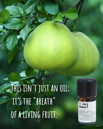 Joy Garden 100% Pure Pomelo Essential Oil (Citrus Grandis) with fresh premium fruit.
