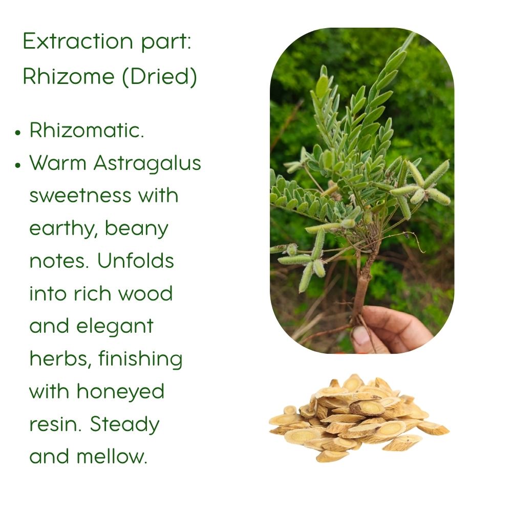 Astragalus Root Essential Oil: Supercritical CO2, Traditional Chinese Medicine,5ml