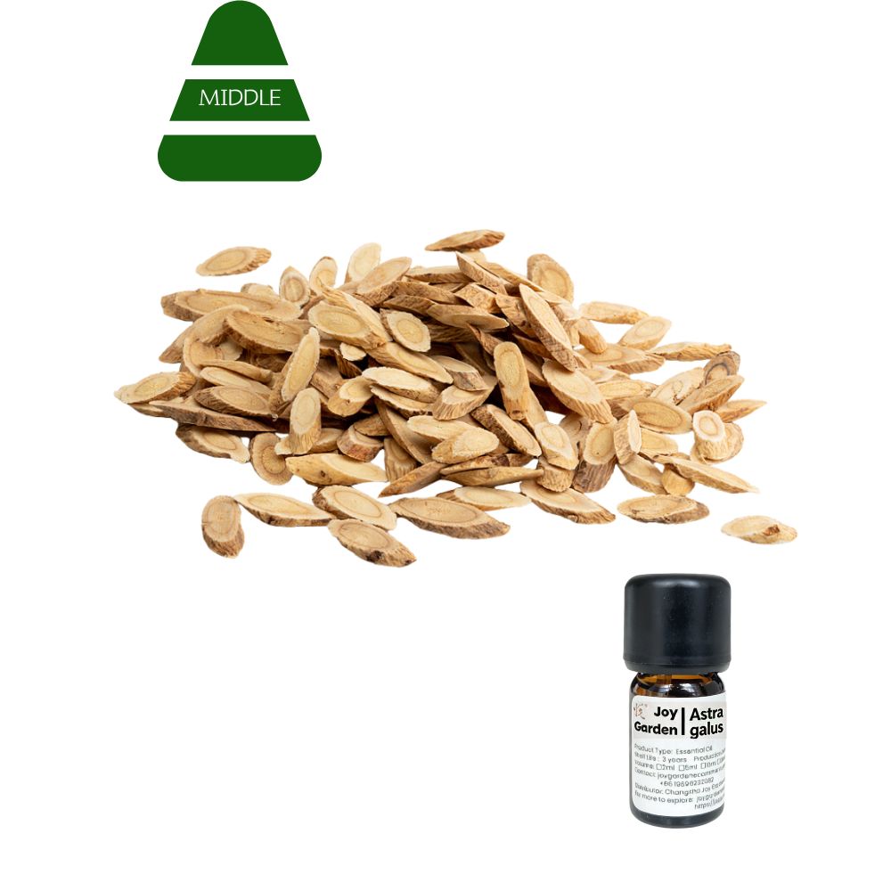 Astragalus Root Essential Oil: Supercritical CO2, Traditional Chinese Medicine,5ml