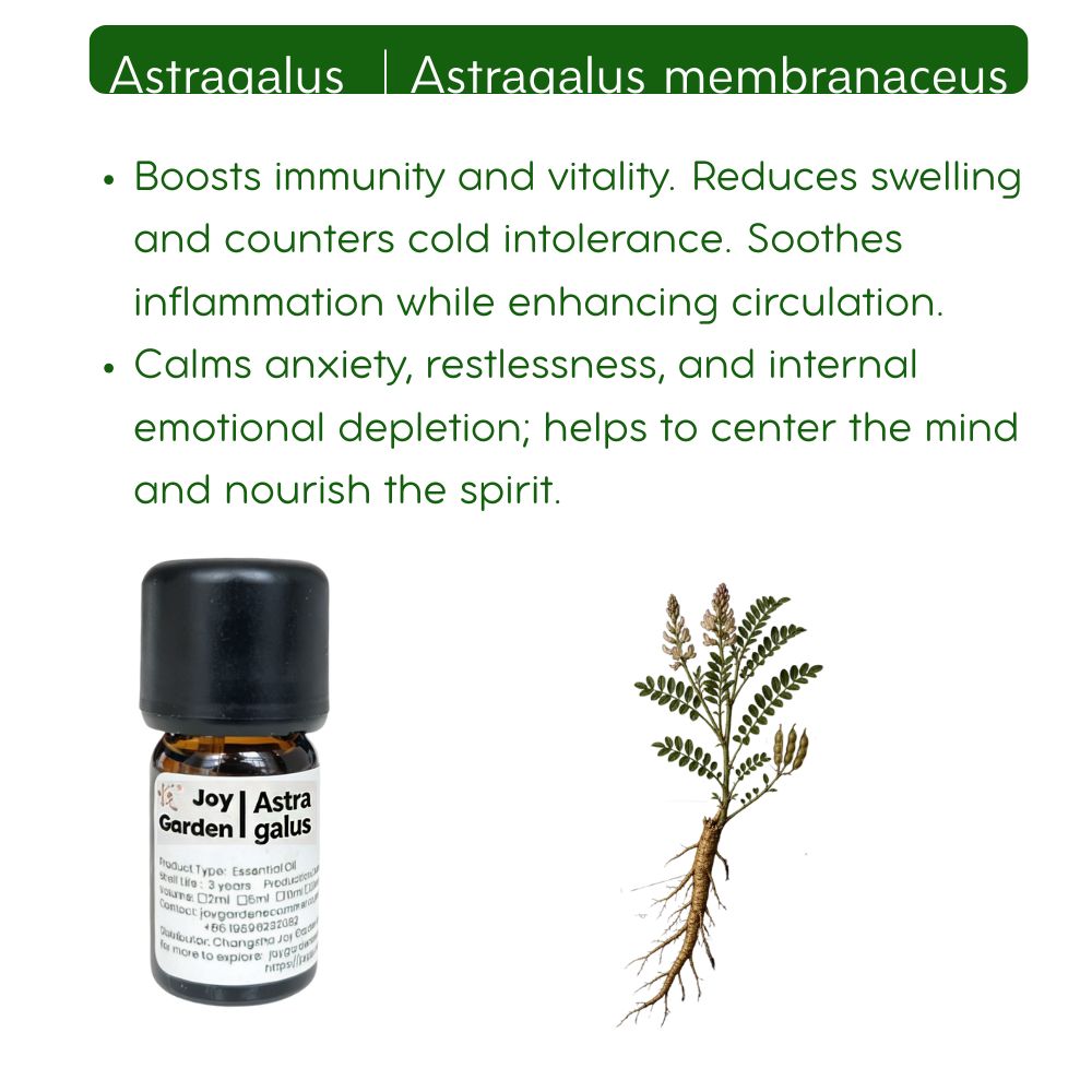 Astragalus Root Essential Oil: Supercritical CO2, Traditional Chinese Medicine,5ml
