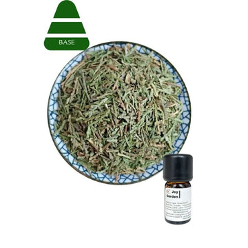 Chinese Arborvitae Essential Oil | 100% Pure and Therapeutic Grade