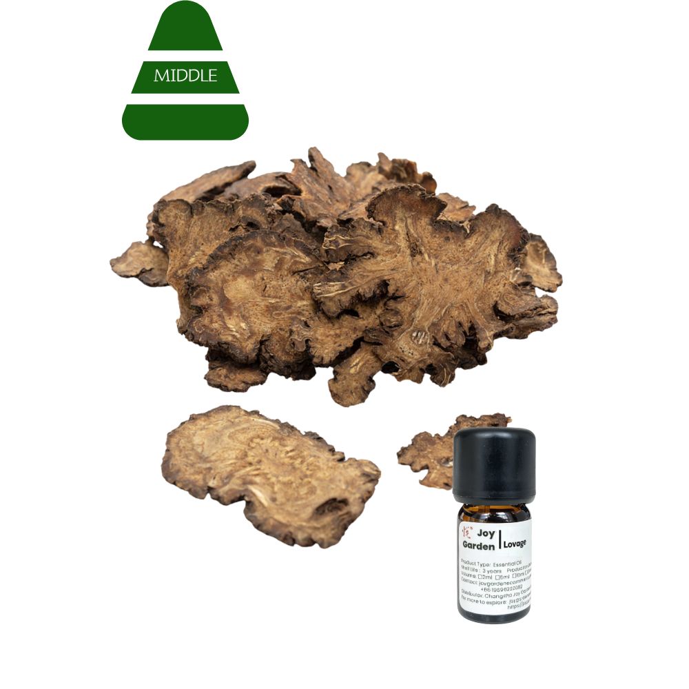 Chuanxiong Essential Oil: Sichuan Lovage Rhizome, TCM Herbal Oil (5ml)
