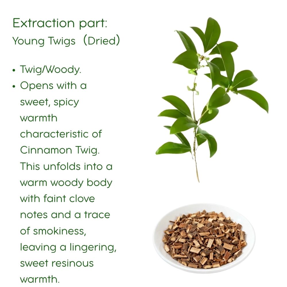 Cinnamon Branch Essential Oil: Steam Distilled, TCM - 5ml