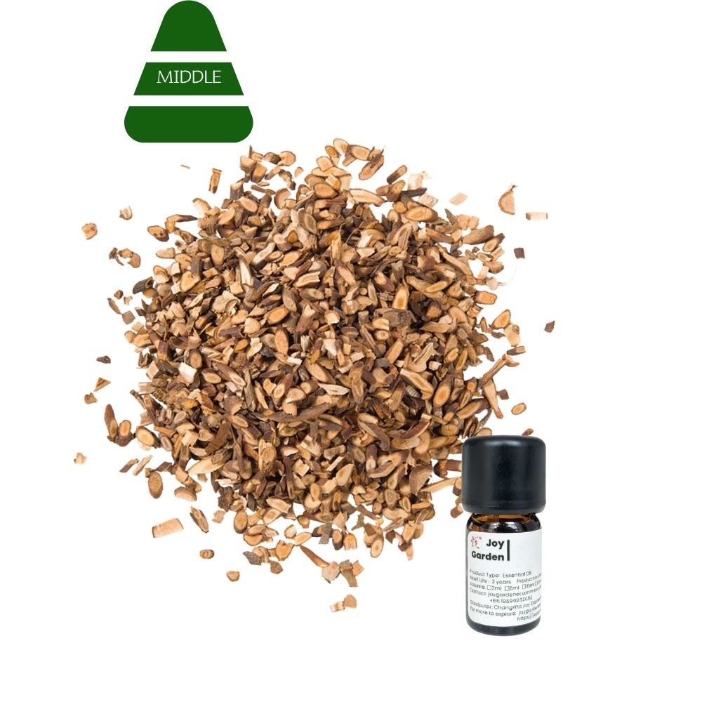 Cinnamon Branch Essential Oil: Steam Distilled, TCM - 5ml