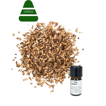 Cinnamon Branch Essential Oil: Steam Distilled, TCM - 5ml