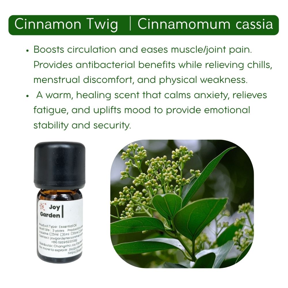 Cinnamon Branch Essential Oil: Steam Distilled, TCM - 5ml