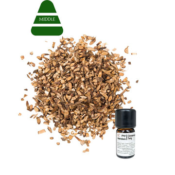 Cinnamon Branch Essential Oil: Steam Distilled, TCM - 5ml