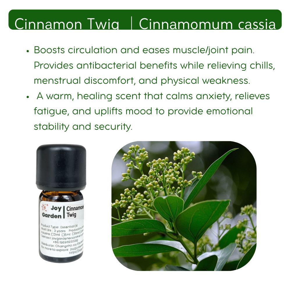 Cinnamon Branch Essential Oil: Steam Distilled, TCM - 5ml
