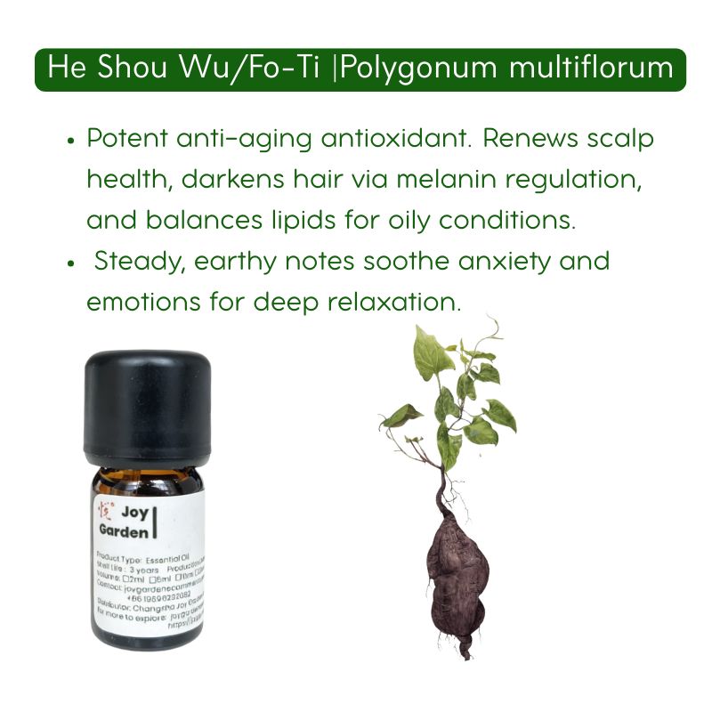 He Shou Wu (Fo-Ti) Essential Oil |  Supercritical CO2 Extract