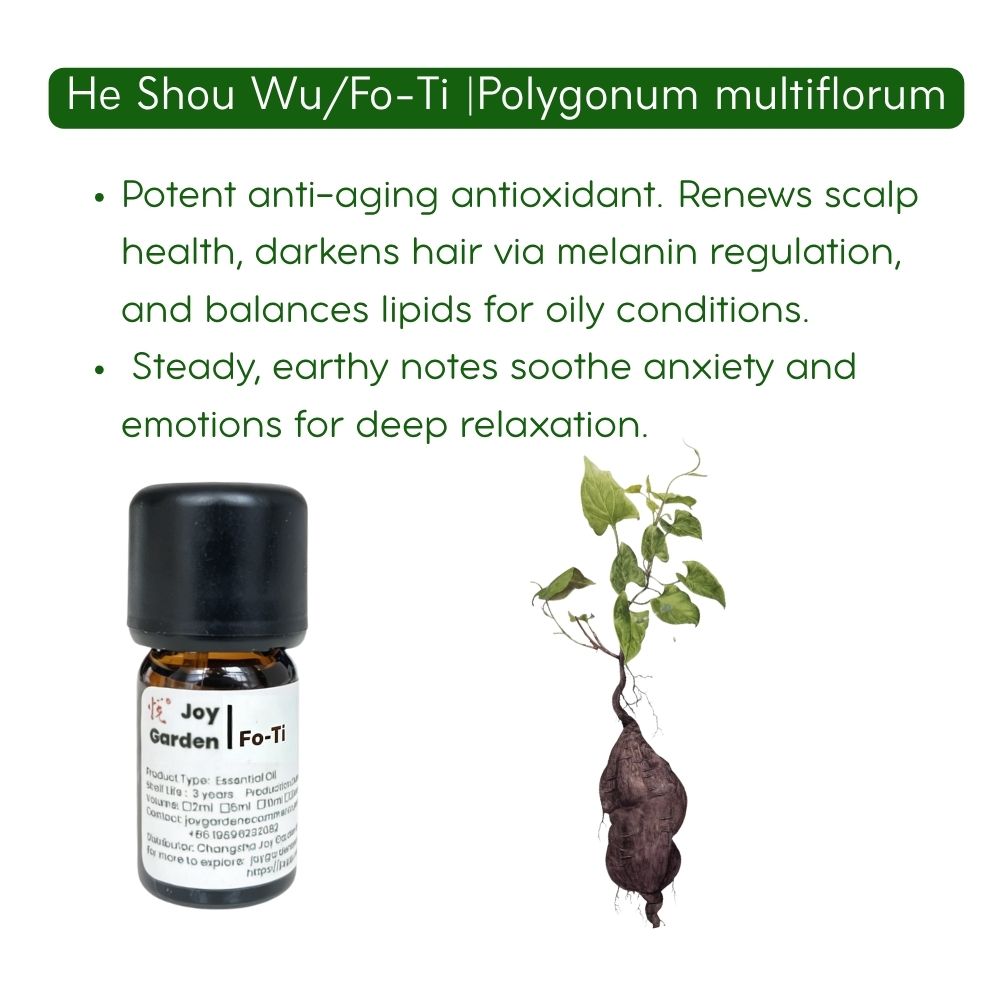 He Shou Wu (Fo-Ti) Essential Oil |  Supercritical CO2 Extract