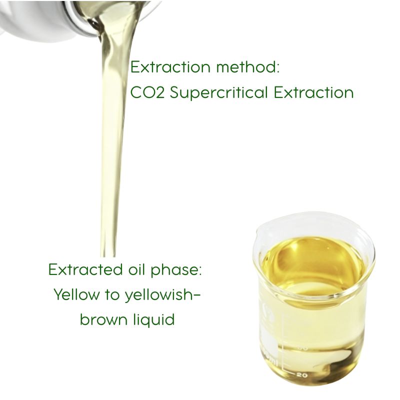 He Shou Wu (Fo-Ti) Essential Oil |  Supercritical CO2 Extract