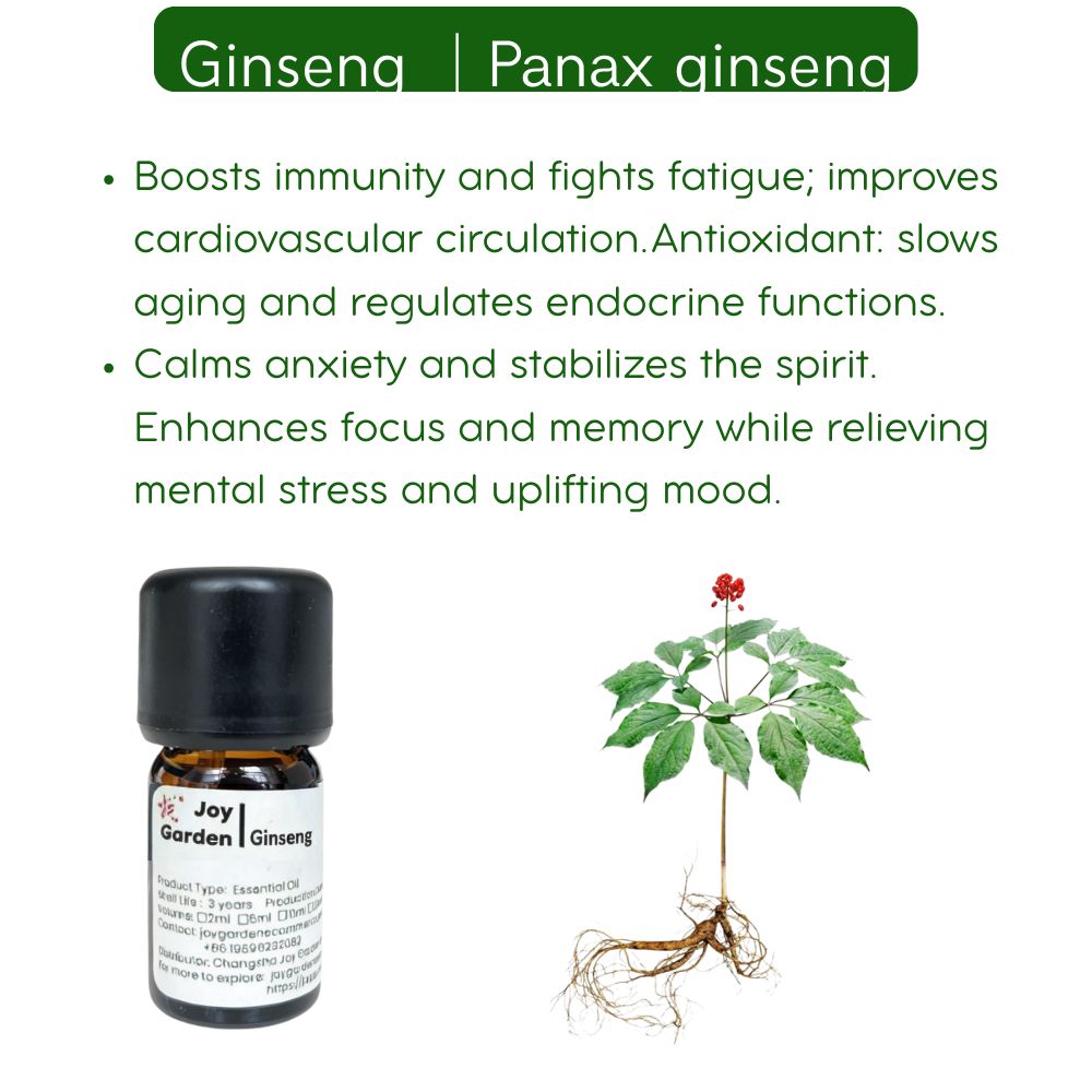 Changbai Mountain Ginseng Essential Oil - 100% Pure (5ml)