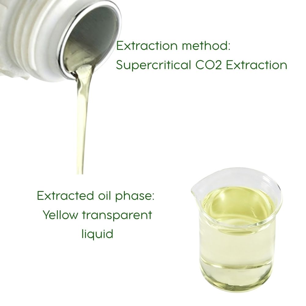 Changbai Mountain Ginseng Essential Oil - 100% Pure (5ml)