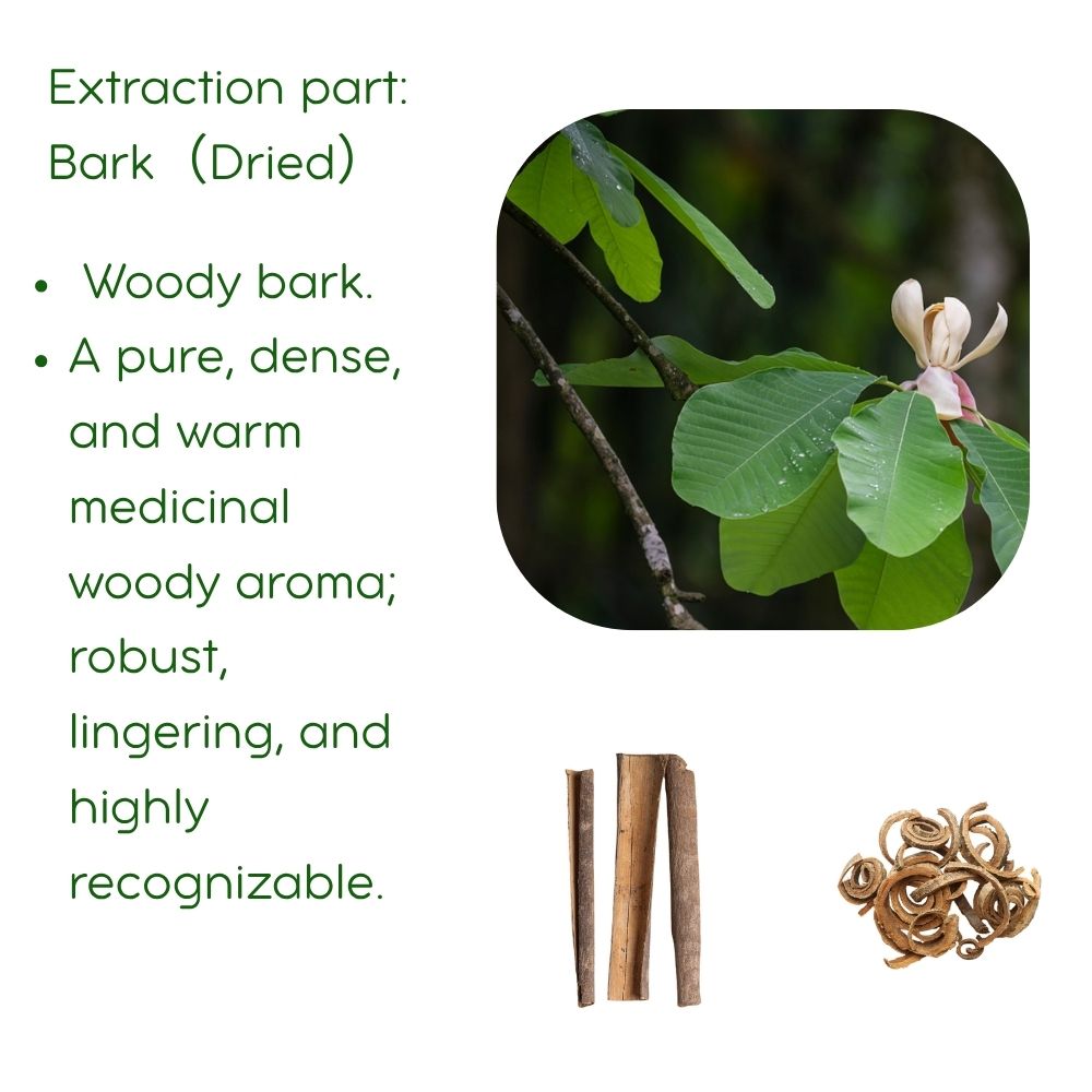 Magnolia Bark Essential oil  (Supercritical CO2 Extract) | 5ml