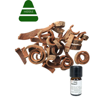 Magnolia Bark Essential oil  (Supercritical CO2 Extract) | 5ml