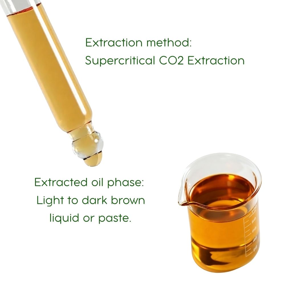 Magnolia Bark Essential oil  (Supercritical CO2 Extract) | 5ml