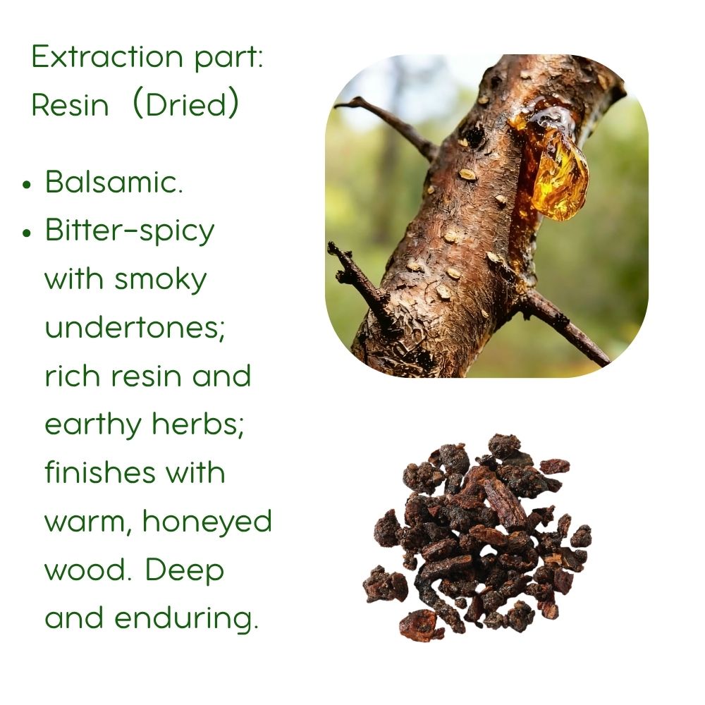 Myrrh Essential Oil: Steam distillation, 5ml