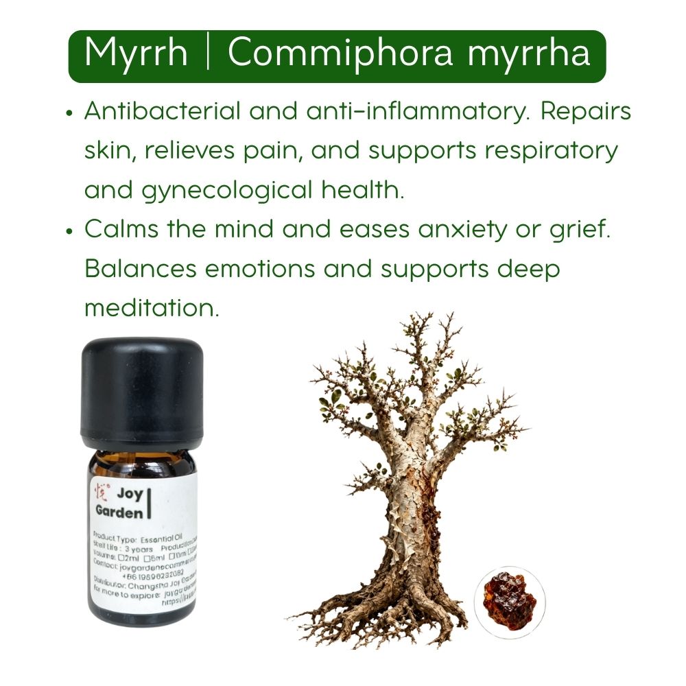 Myrrh Essential Oil: Steam distillation, 5ml