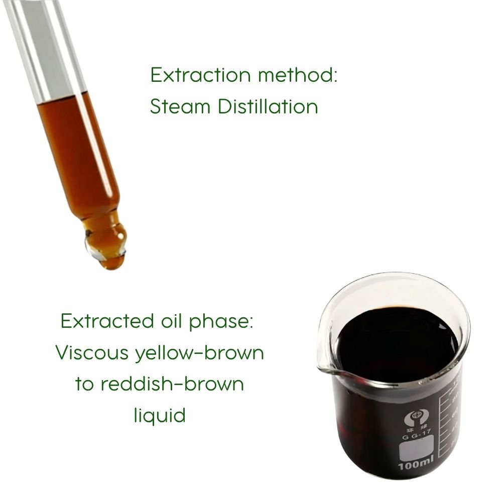 Myrrh Essential Oil: Steam distillation, 5ml