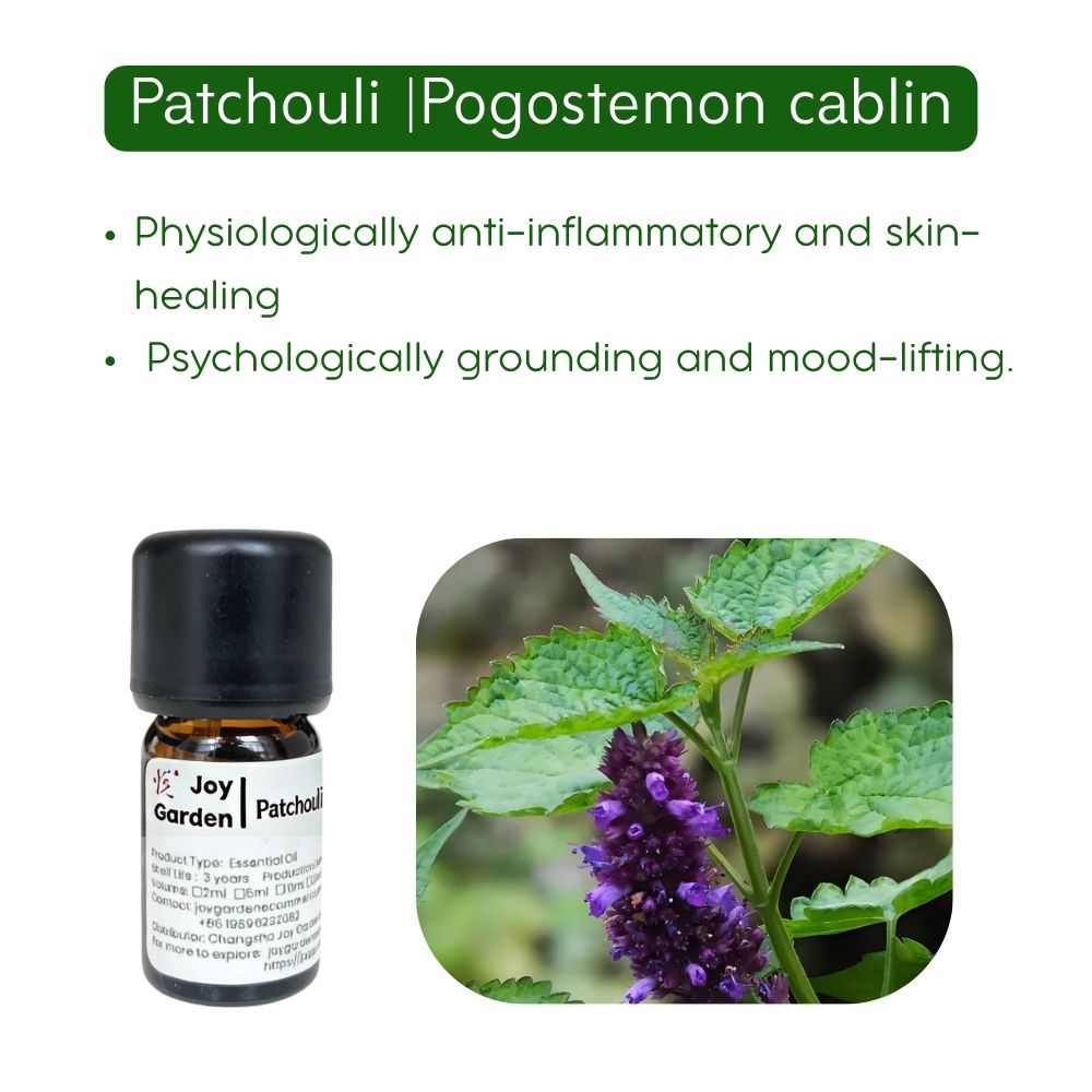Patchouli Essential Oil Steam Distillation 100% pure essential oils